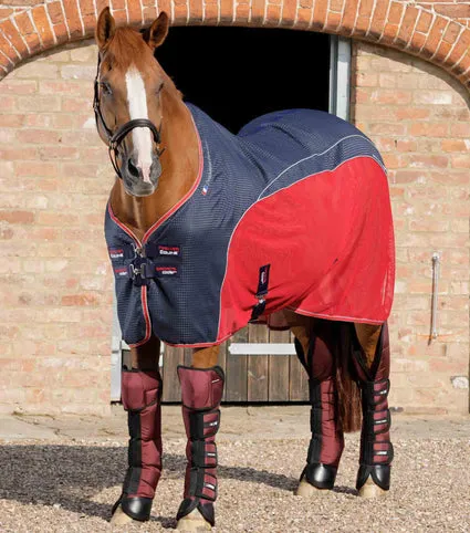 Premier Equine Ballistic Knee Pro-Tech Horse Travel Boots
